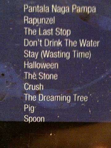 Dave Matthews Band: Before These Crowded Streets : CD