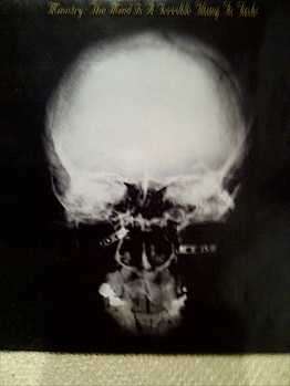 Ministry : The Mind Is A Terrible Thing To Taste : CD