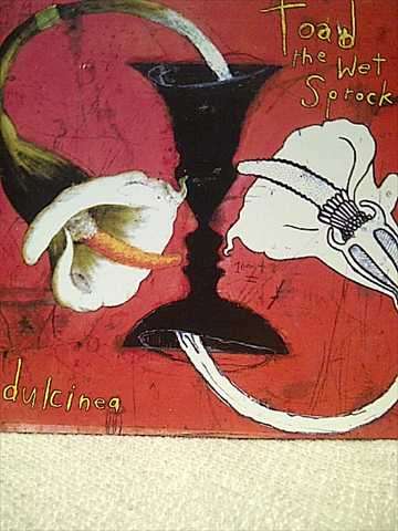 Toad the Wet Sprocket : Dulcinea  : CD