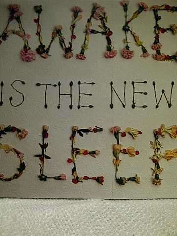 Ben Lee : Awake is the new Sleep  : CD