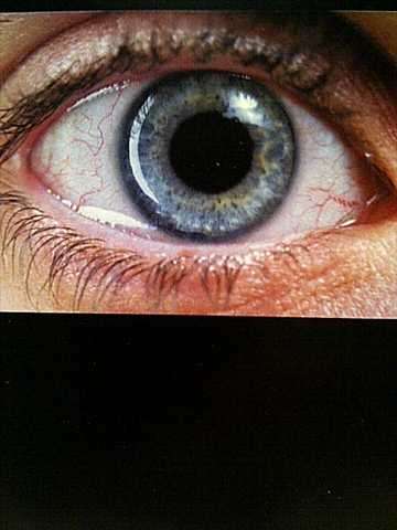 Requiem for a dream : Music by Clint Mansell  : CD