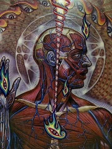 Tool : Lateralus  : CD