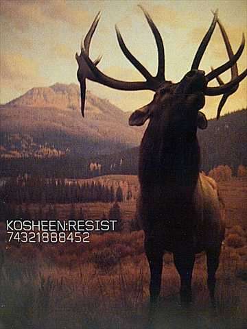 Kosheen : Resist  : CD
