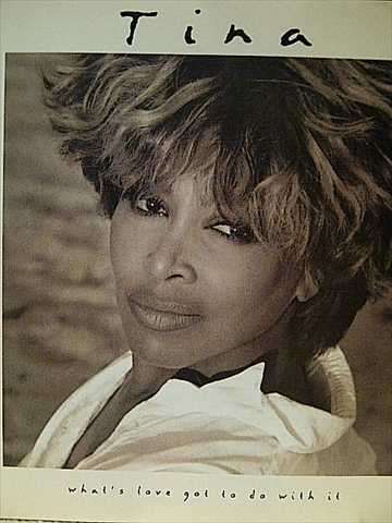 Tina Turner : Whats Love Got to do with it