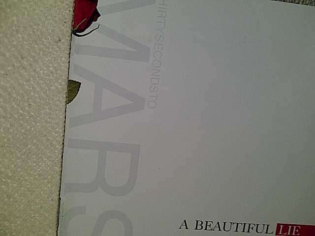 Thirty Seconds to Mars : A Beautiful Life  (CD FOR SALE)