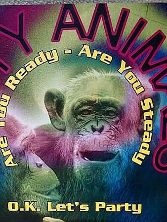 Party Animals : Various Artists : CD