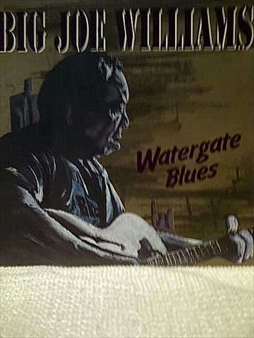 Big Joe Williams : Watergate Blues : CD