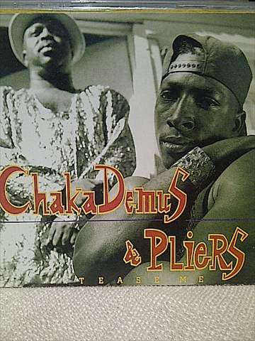 Chaka Demus and the Pliers