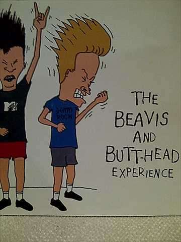 THE BEAVIS AND BUTT-HEAD EXPERIENCE (NIRVANA, ANTHRAX ETC.) : CD