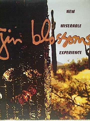 GIN BLOSSOMS: NEW MISERABLE EXPERIENCE : CD