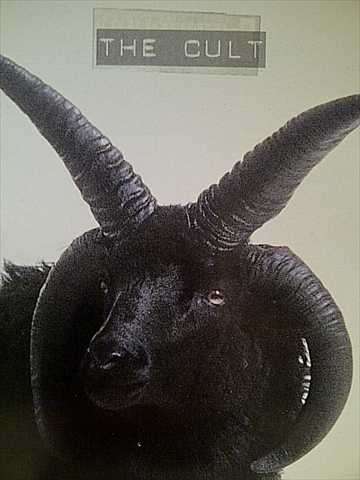The Cult : CD