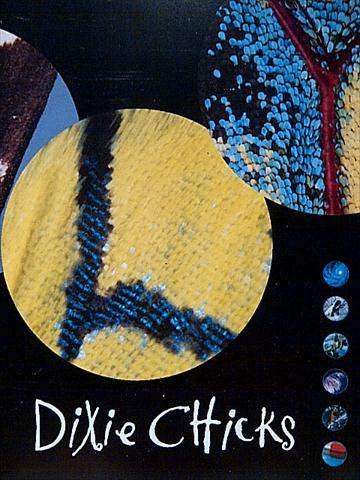 Dixie Chicks: Fly : CD