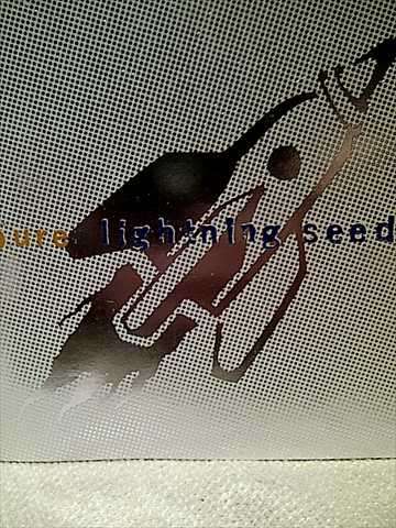 Lightning Seeds : Pure : CD