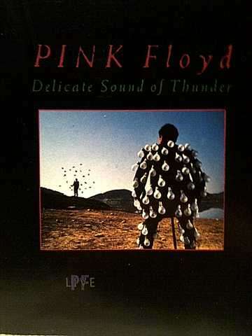 Pink Floyd:Live : 15 Classics from the World Tour : Delicate Sound of Thunder : 2 CD Set : CD