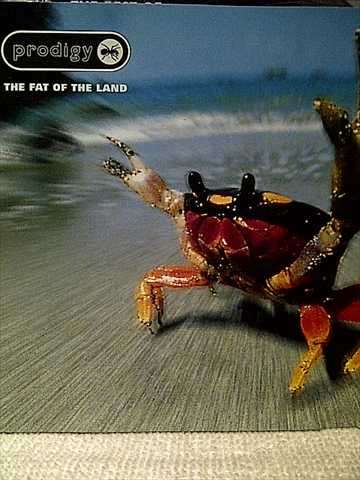 Prodigy:The Fat of the Land : CD