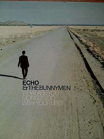 Echo and the Bunnymen:What are you going to do with your like : CD