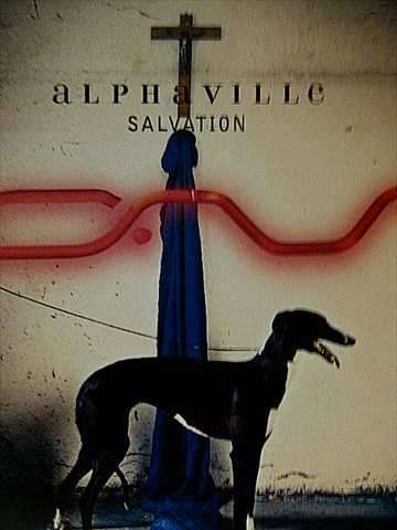 Alaphaville : Salvation : CD