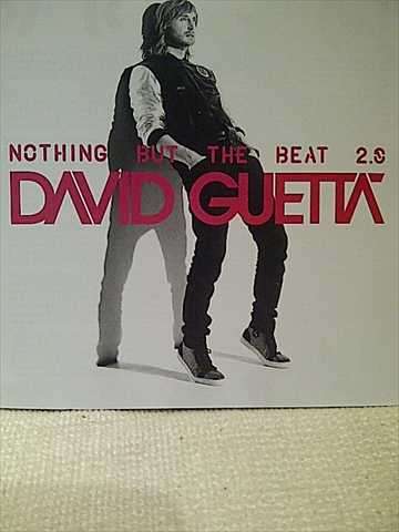 David Guetta : Nothing but the Beat