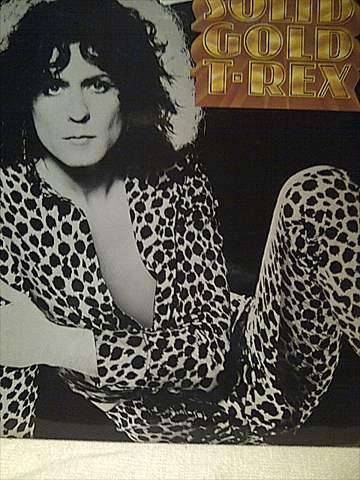 T-Rex : Solid Gold : LP in VG Cond