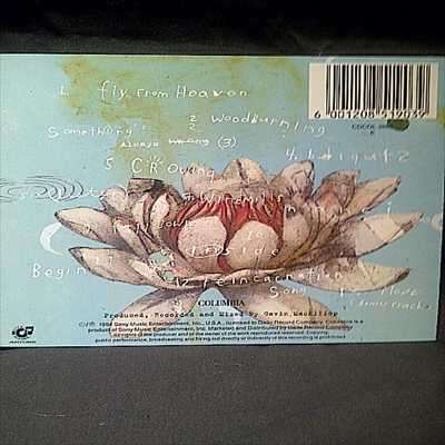 Toad and the Wet Sprocket : Dulcinea : CD