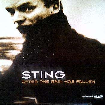 Sting : After the Rain has FallenSingle : CD