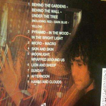 Andreas Vollenweider : Behind the Gardens Behind the Wall Under the tree : CD
