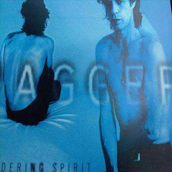 Mick Jagger : Wandering Spirit : CD