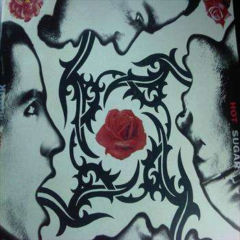 Red Hot Chili Peppers : Blood Sugar Sex Magik : CD