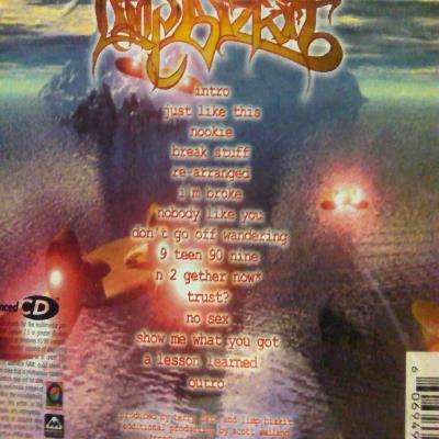 Limp Bizkit : Significant Other : CD