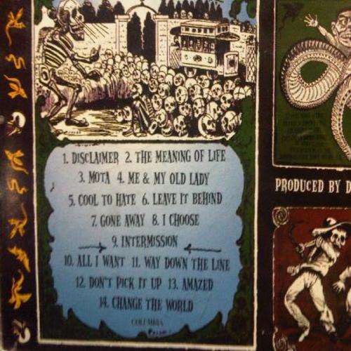 The Offspring : Ixnay on the Hombre : CD