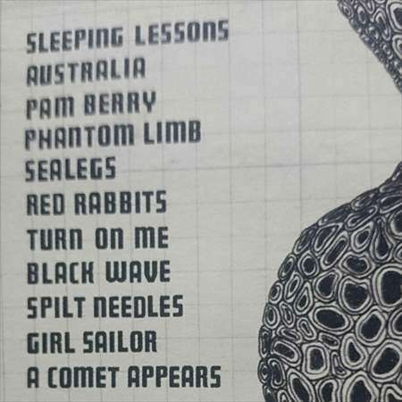 The Shins:Wincing the Night Away : CD