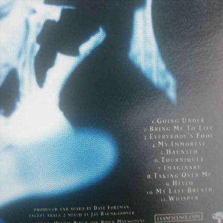Evanescence:Fallen : CD
