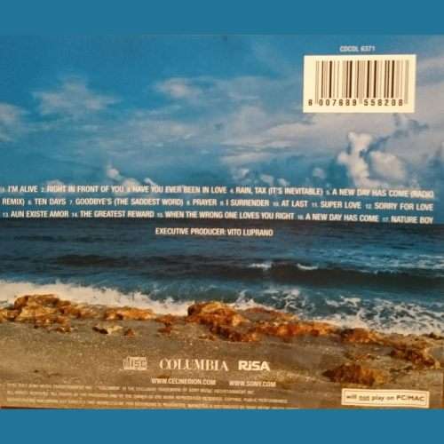 Celine Dion : A New Day Has Come  (CD FOR SALE)