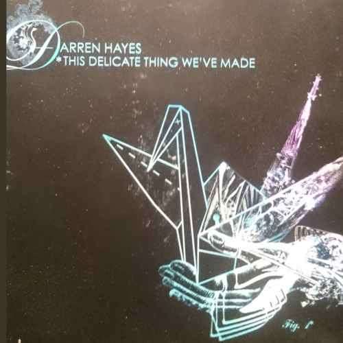 Darren Hayes : This Delicate Thing Weve Made : CD