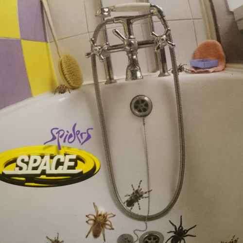 Space : Spiders : CD