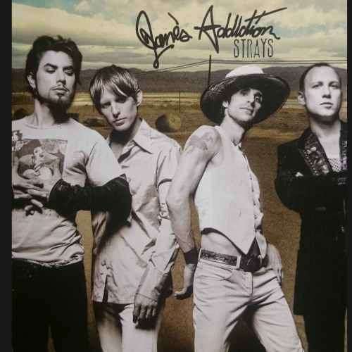 Janes Addiction : Strays : CD