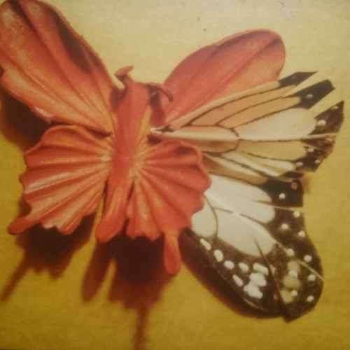 Essie Jain : We made this ourselves : CD