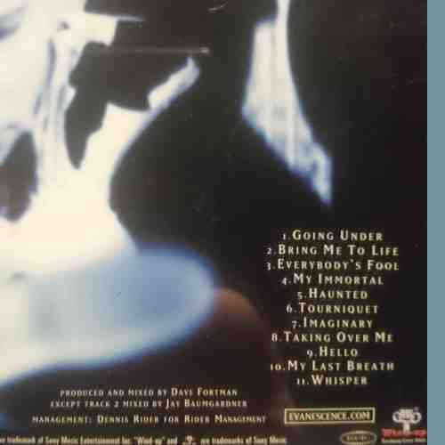 Evanescence : Fallen : CD