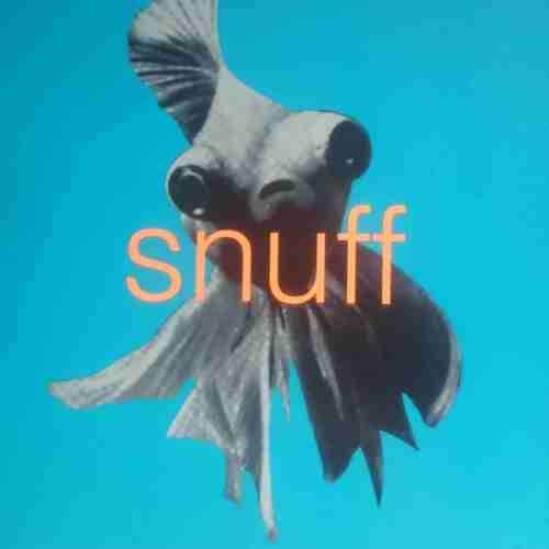 Snuff : In the Fishtank : CD