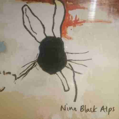 Nine Black Alps : Everything Is : CD