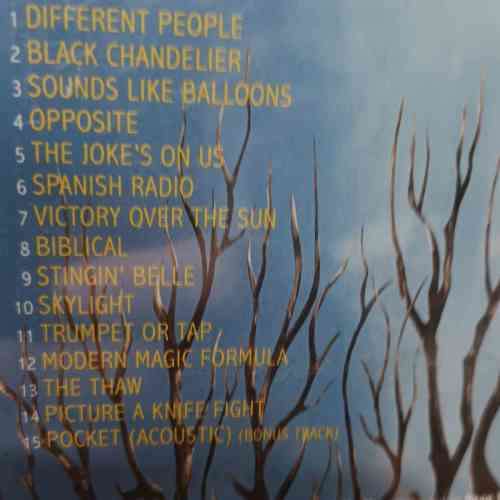 Biffy Clyro : Opposites (CD FOR SALE)