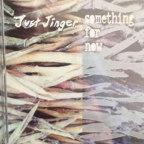 Just Jinger : Something for now : CD