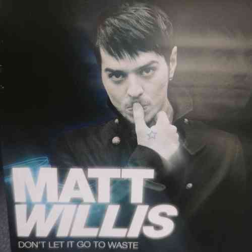 Matt Willis : Don?t let it go to waste : CD