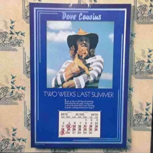 Dave Cousins : Two Weeks Last Summer : CD