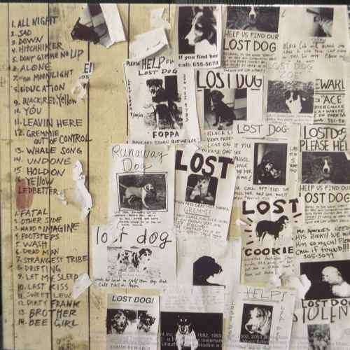 Pearl Jam : Lost Dogs 2 CD set : CD