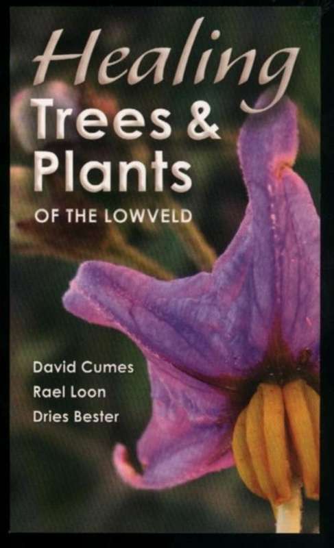 Healing Trees & Plants of the Lowveld