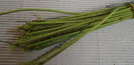 Covered Florists Wire (Floral Stem Wire)