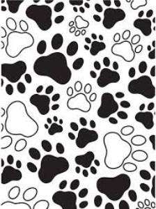 Darice embossing folder -  Pawprints