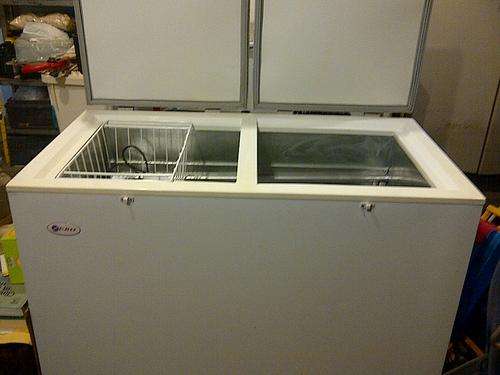 Gas / Electric Double Lid Chest Freezer - Zero GF250D