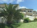 PERNA PERNA MOSSEL BAY